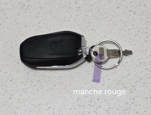 Animaux Objets Trouvés Perdus