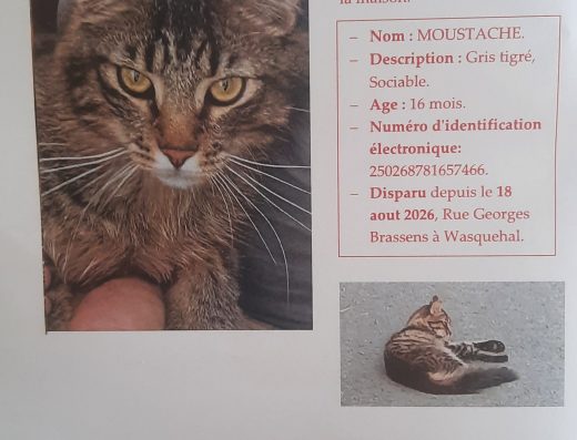 Animaux Objets Trouvés Perdus